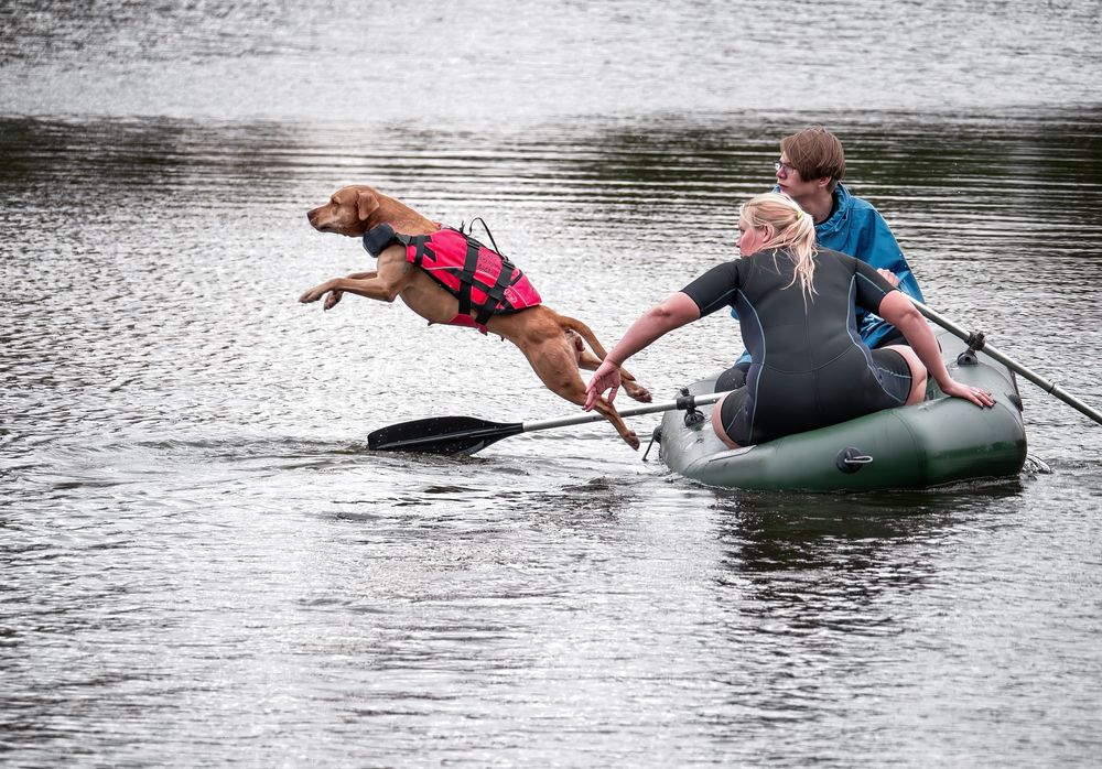 Photograph by Криволуцкий Вячеслав