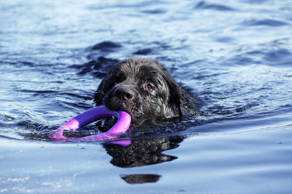 Photograph by Криволуцкий Вячеслав