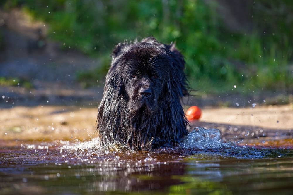 Photograph by Криволуцкий Вячеслав