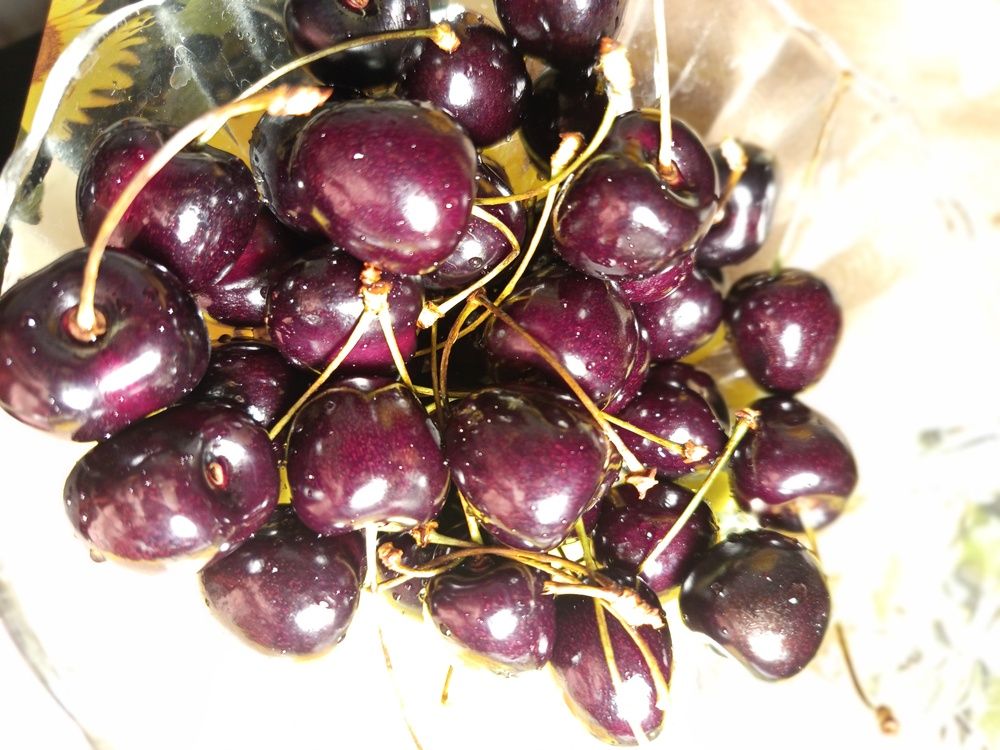 Лучший десерт.