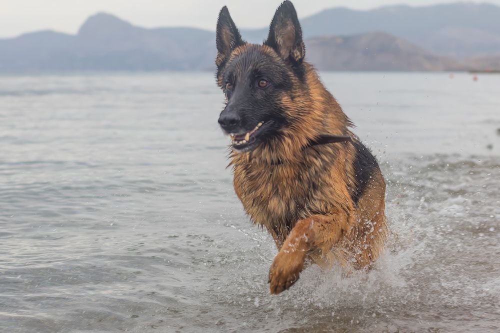 Photograph by Любовь Головина