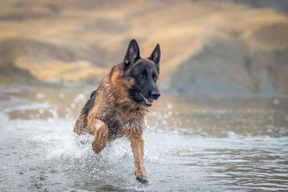 Photograph by Любовь Головина