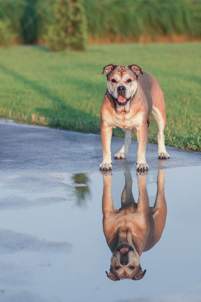 Photograph by Яна Карамышева