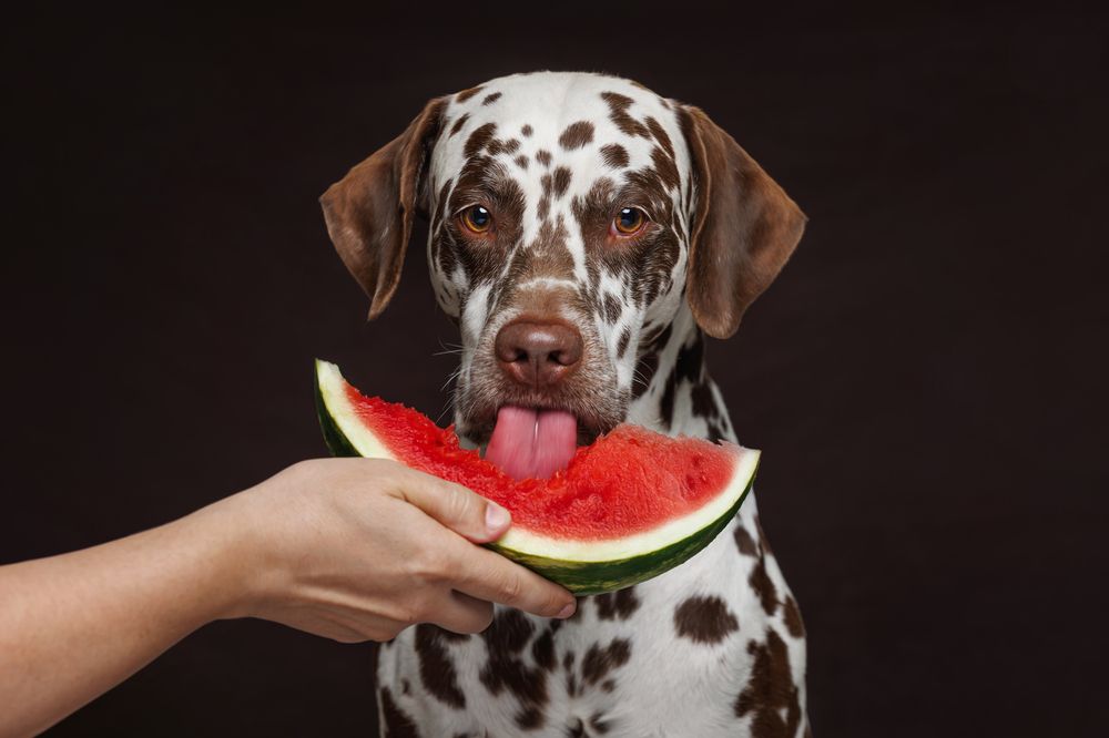 Photograph by Яна Нарбутович