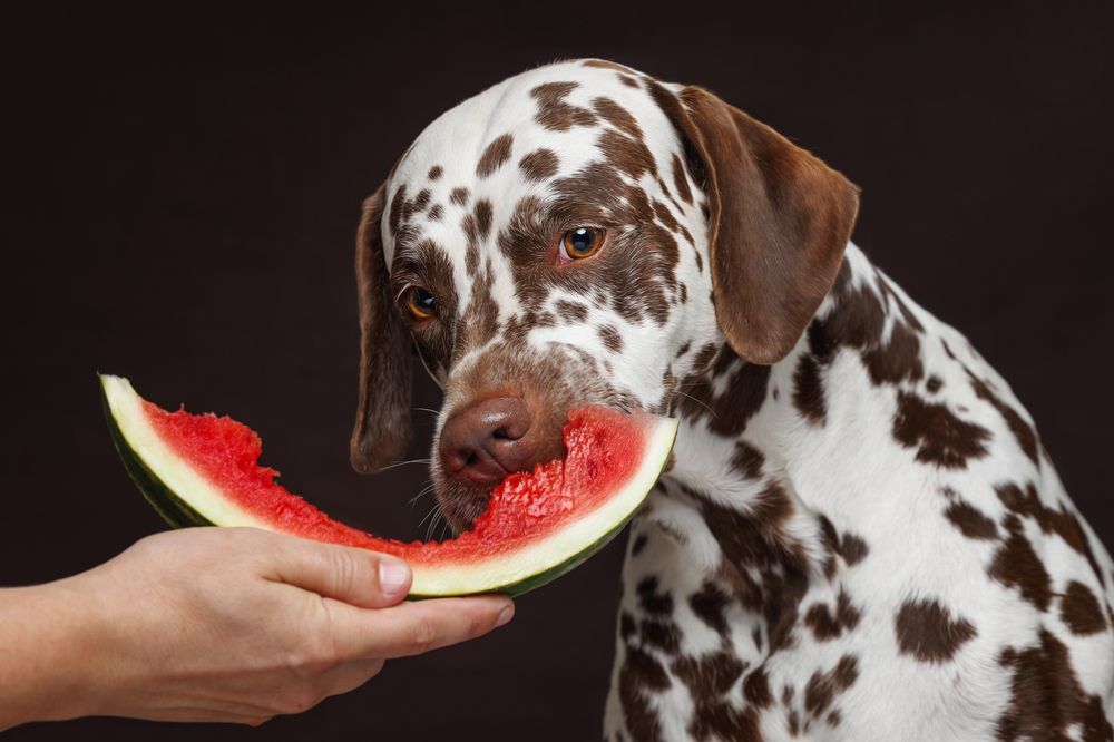 Photograph by Яна Нарбутович