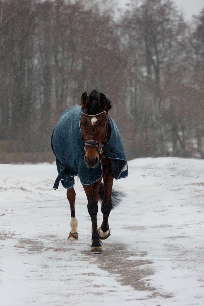 Фотография автора Fallen Angel