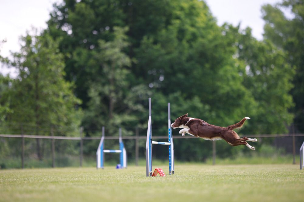 Photograph by Omica Meinen