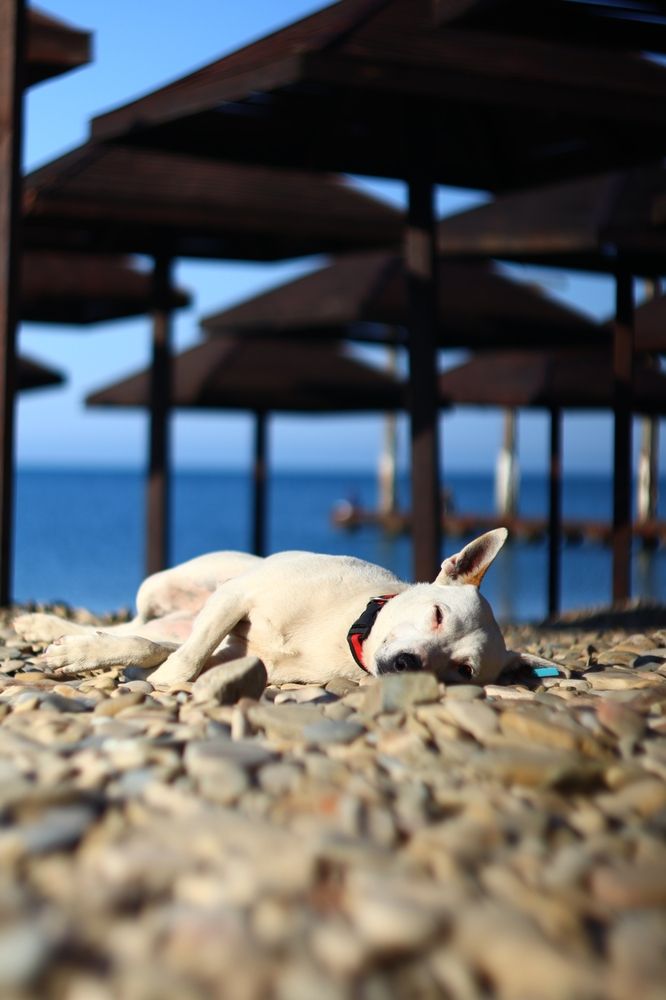 Фотография автора Aamoda Kitchen