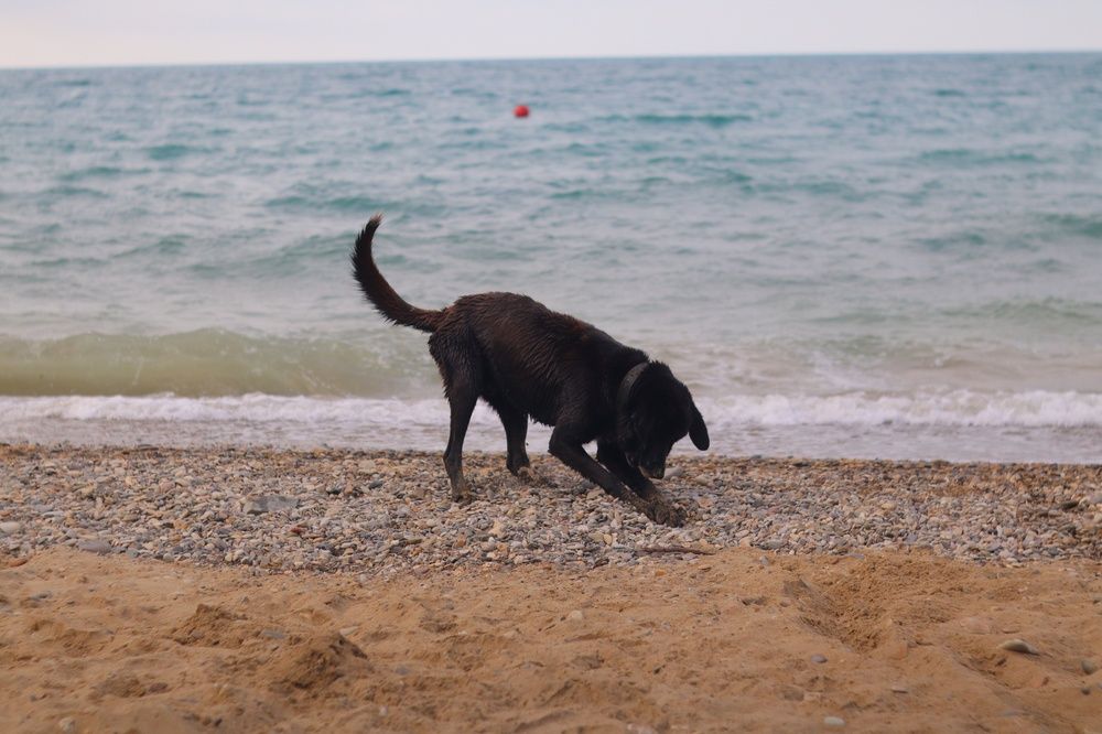 Фотография автора Aamoda Kitchen