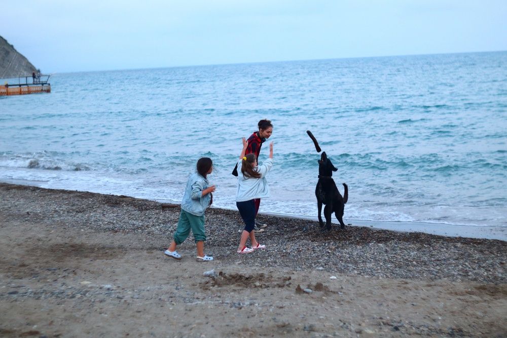 Фотография автора Aamoda Kitchen