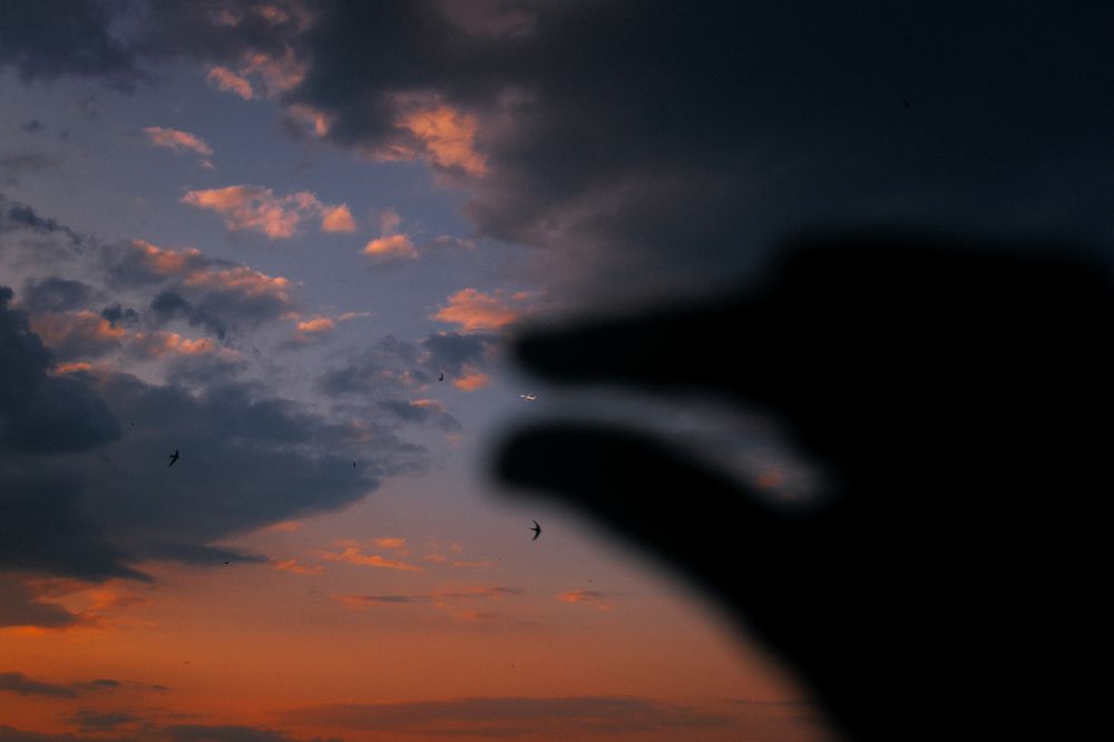 Photograph by Сергей Удовиченко