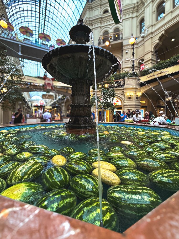 Photograph by Елена Чулюнина