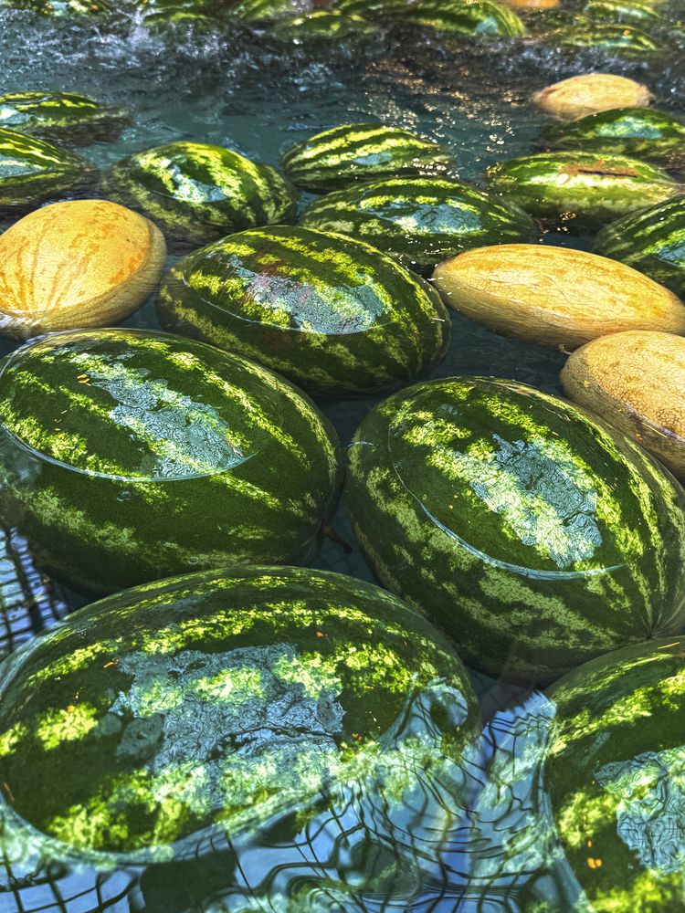 Photograph by Елена Чулюнина