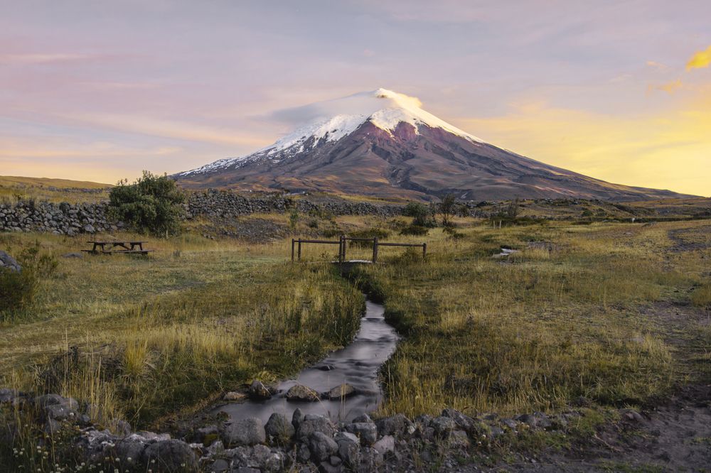 Photograph by Susie Castellano