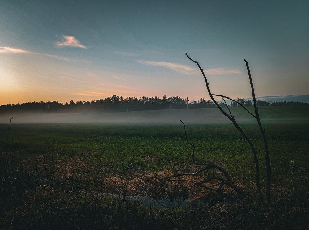 Photograph by Екатерина Никитина