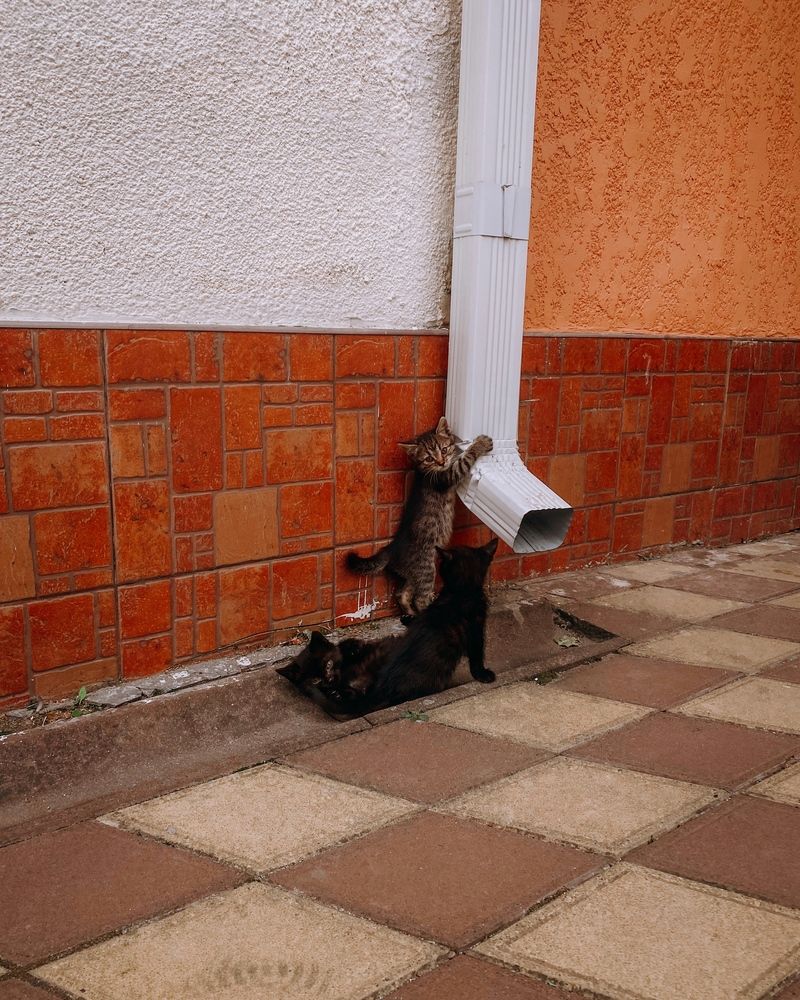 Photograph by Сергей Удовиченко