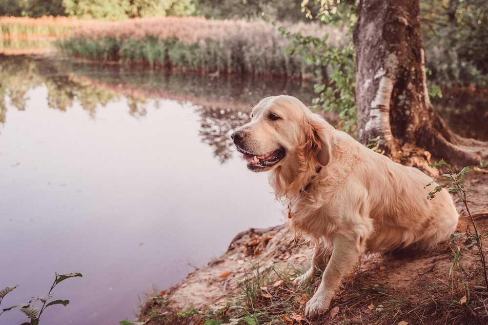Photograph by Юлия Новожилова