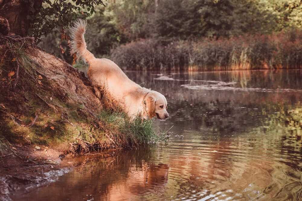 Photograph by Юлия Новожилова