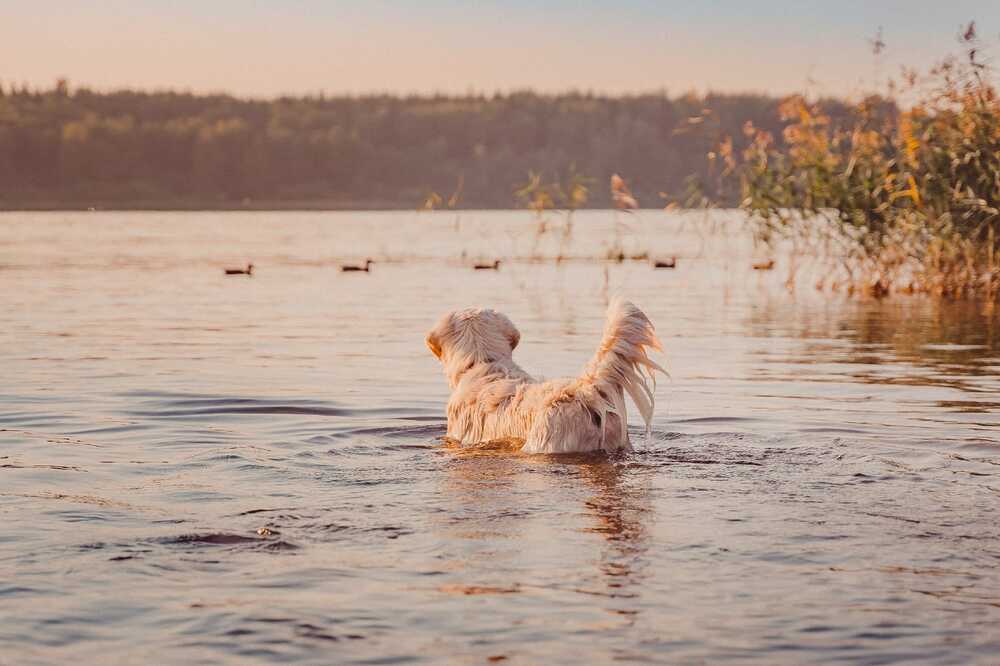 Photograph by Юлия Новожилова