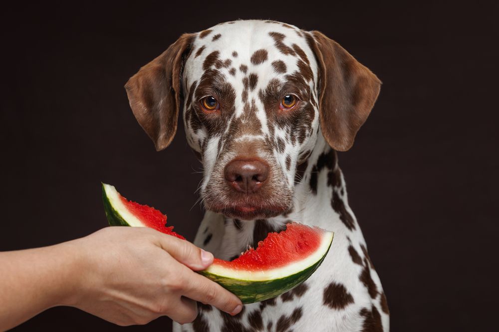 Photograph by Яна Нарбутович