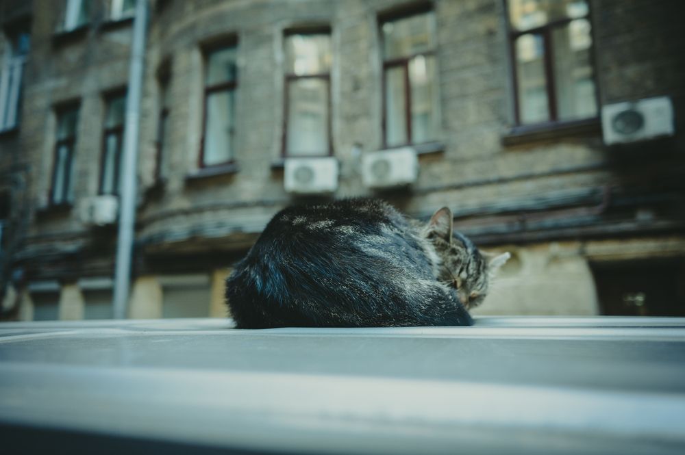Photograph by Маргарита Матвеенкова
