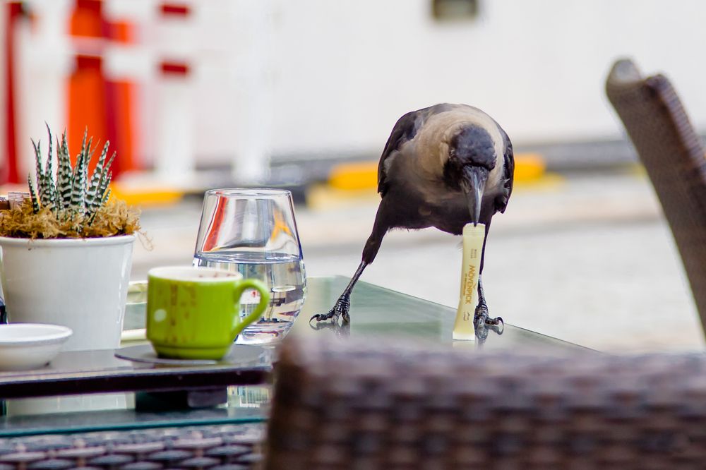 Photograph by Владимир Говоров