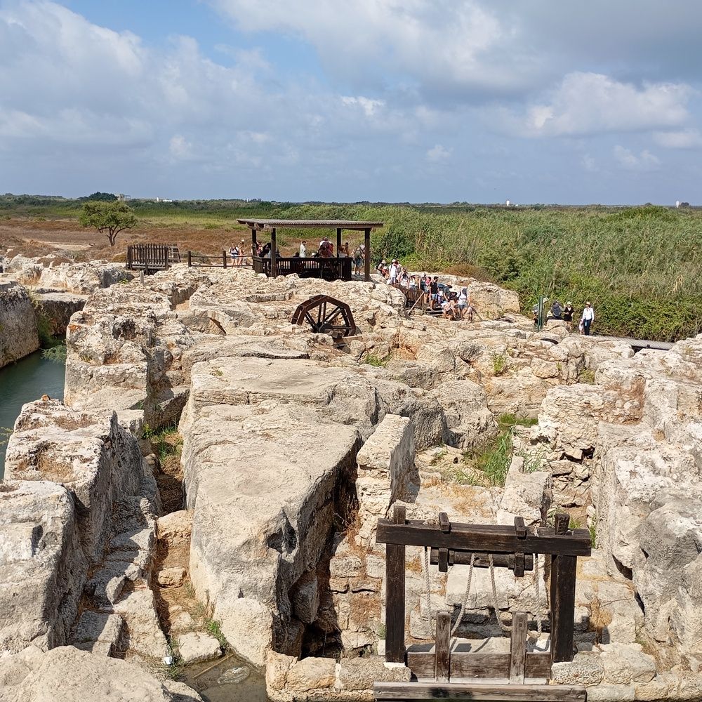 Фотография автора Виктория Усова