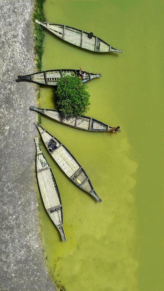 Photograph by Al Mamun Nil