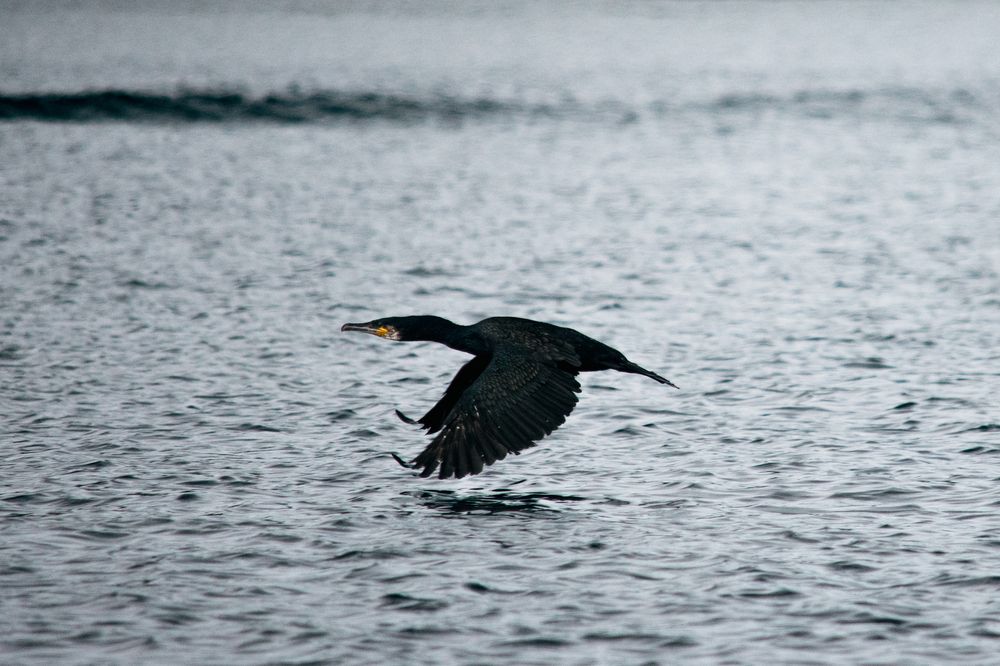 Photograph by Анна Муковозова