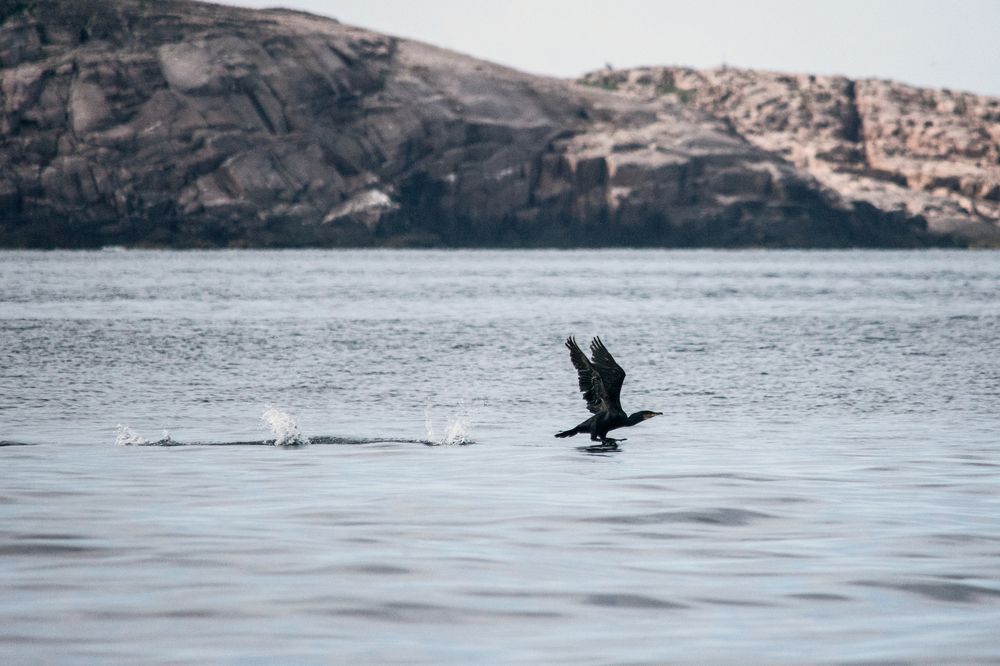 Photograph by Анна Муковозова