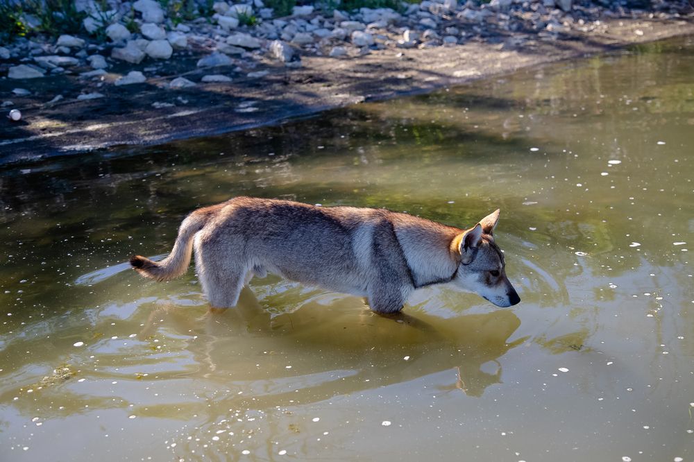Photograph by дамир чекалин