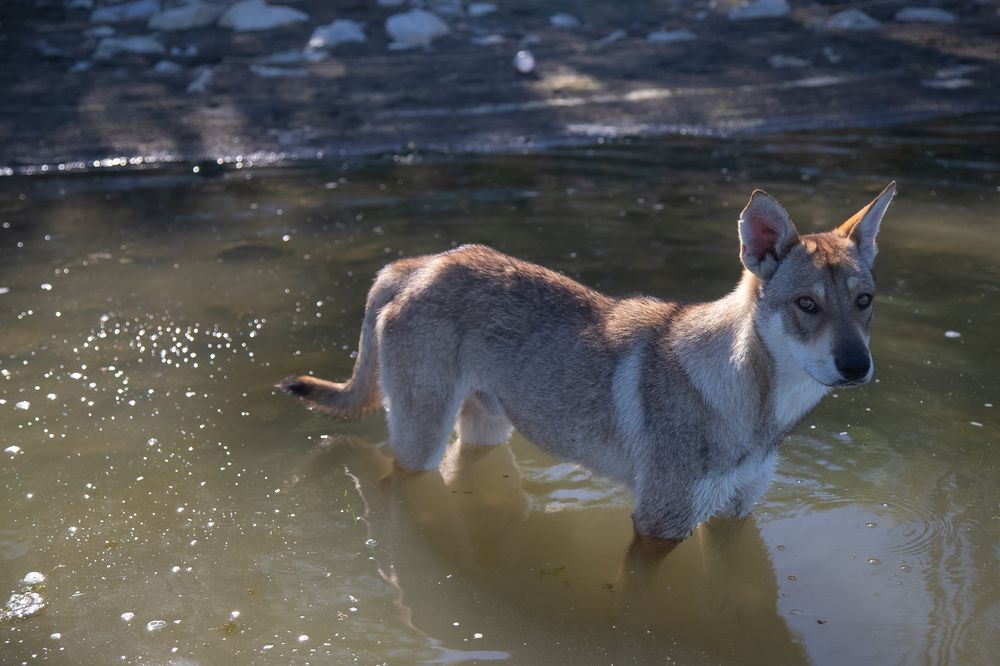 Photograph by дамир чекалин