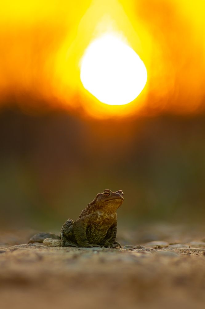 Фотография автора Aamoda Kitchen