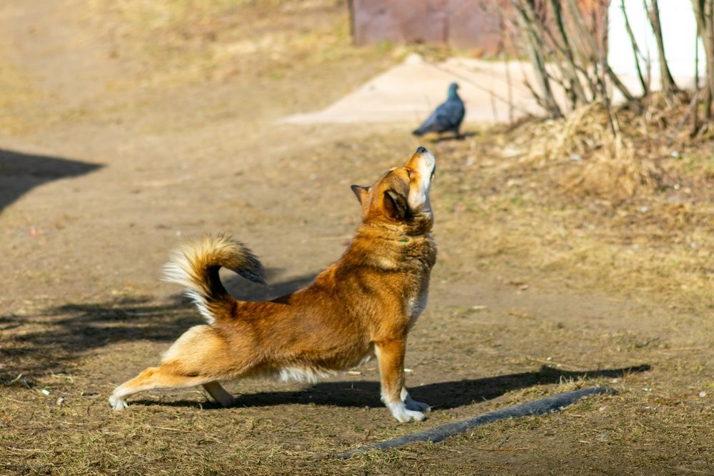 Фотография автора Aamoda Kitchen