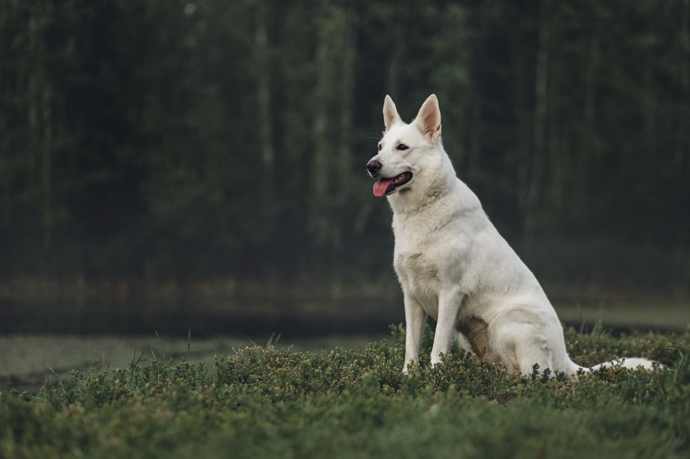 Фотография автора Марина Дятлова