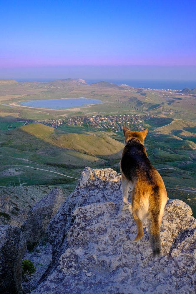 Photograph by Татьяна Глебова