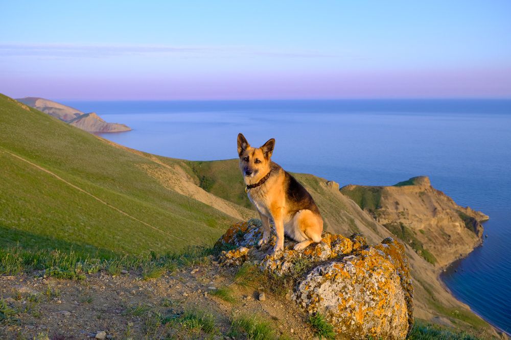 Photograph by Татьяна Глебова