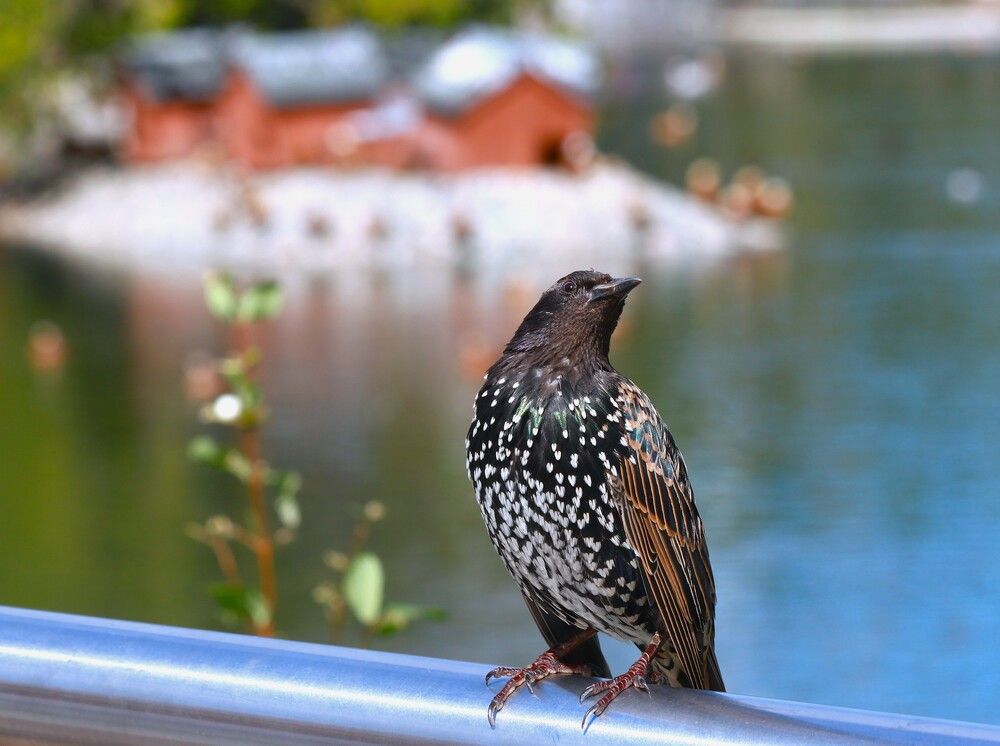 Photograph by Гагик Саркисян