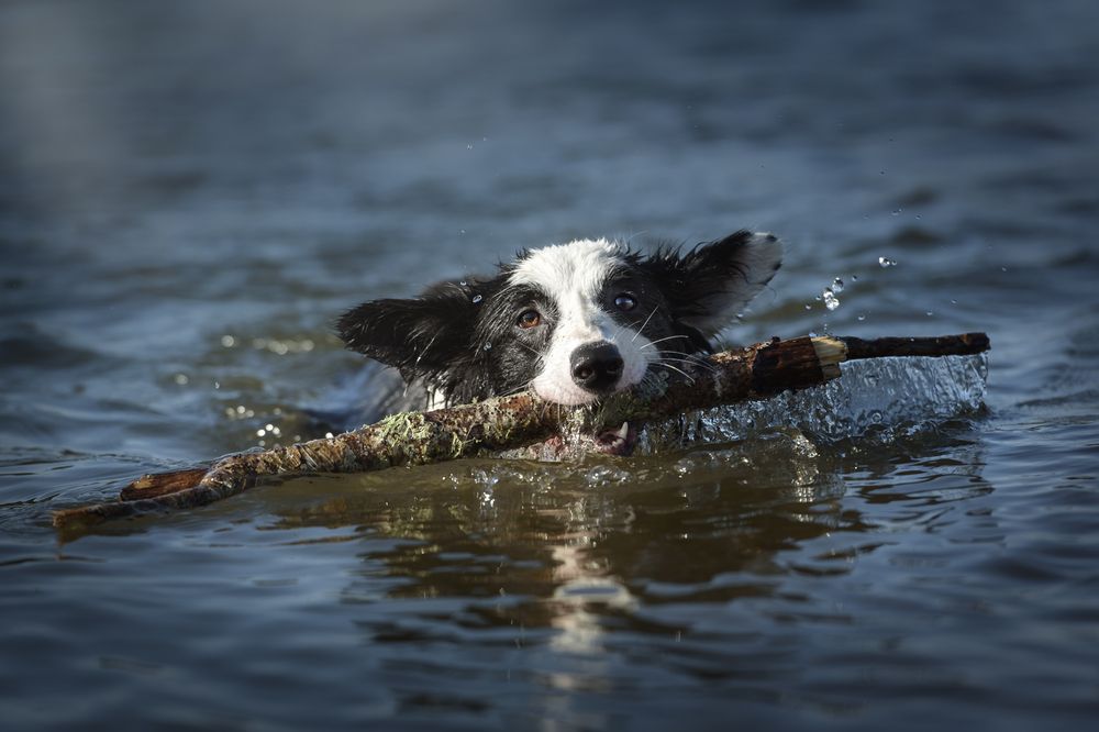 Photograph by Tamara Lebón Sánchez