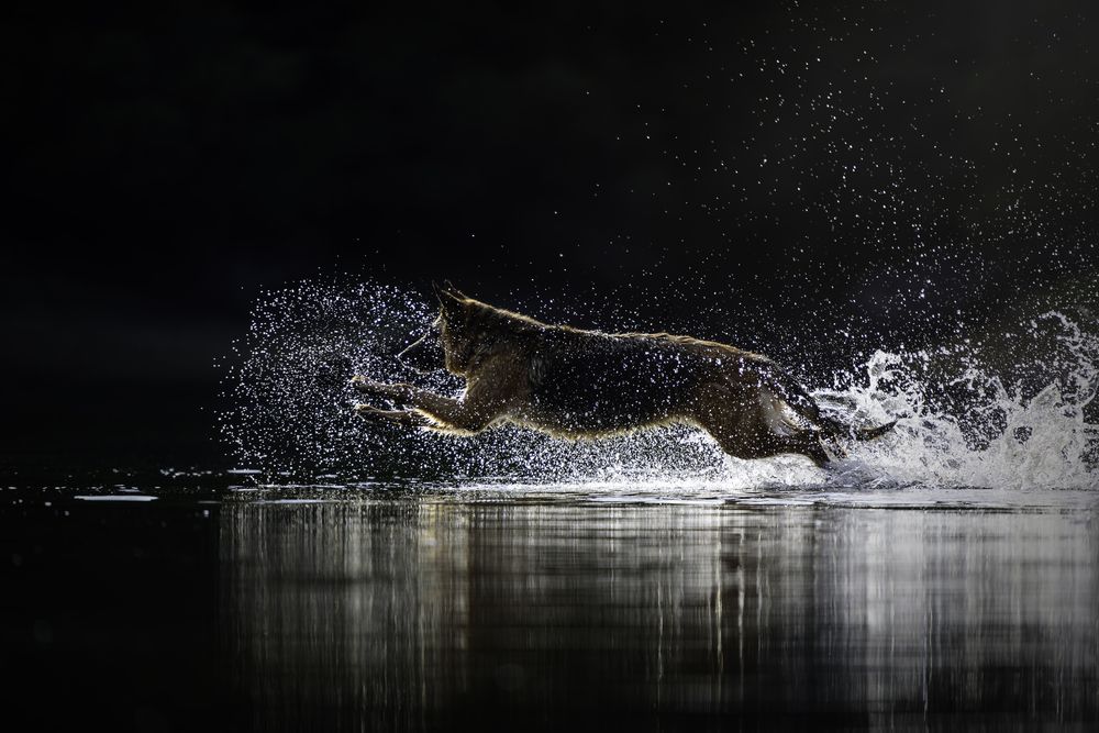 Photograph by Tamara Lebón Sánchez