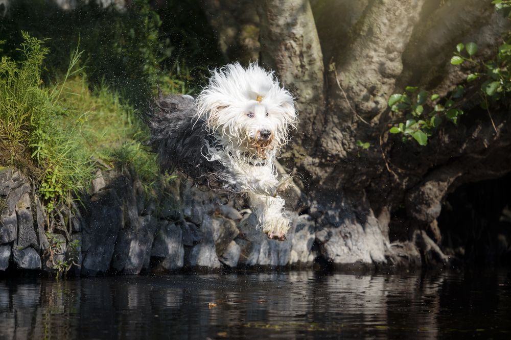 Photograph by Tamara Lebón Sánchez