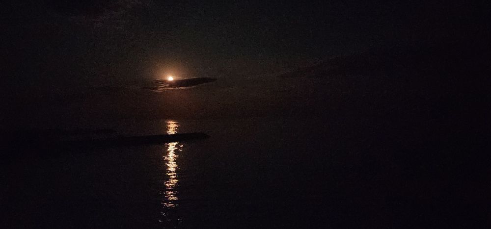 Photograph by Tatiana Denisova