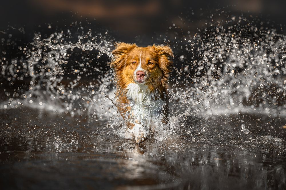 Photograph by Lucie Nermuťová