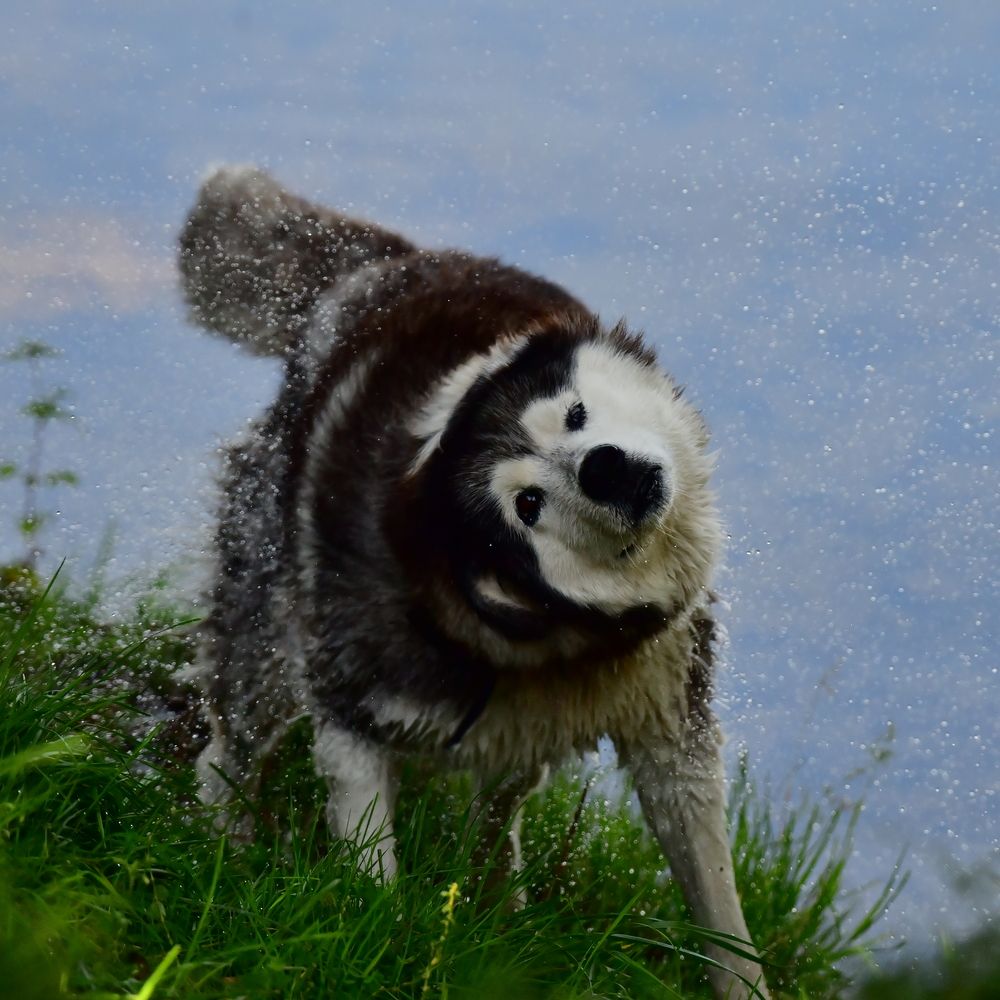 Photograph by Николай Абакумов