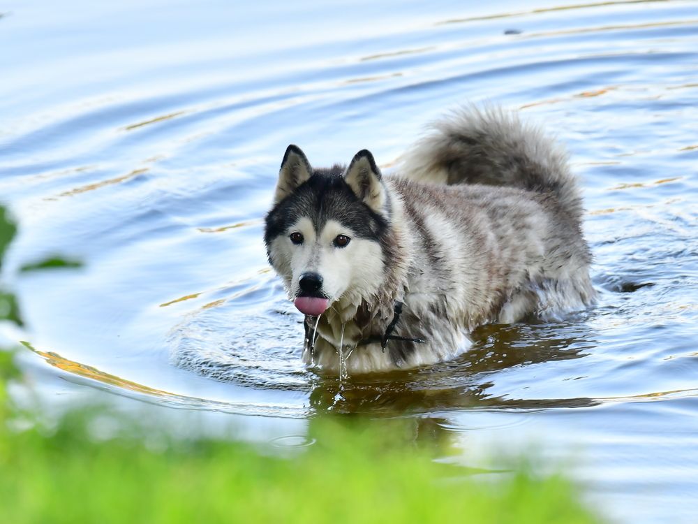 Photograph by Николай Абакумов