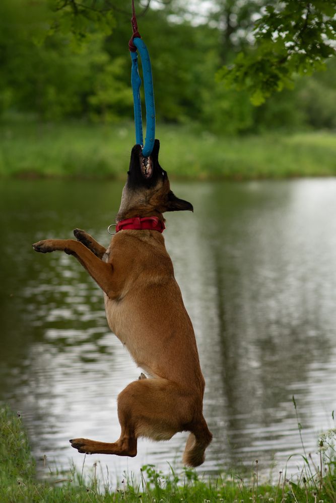 Photograph by Роза Нургалина