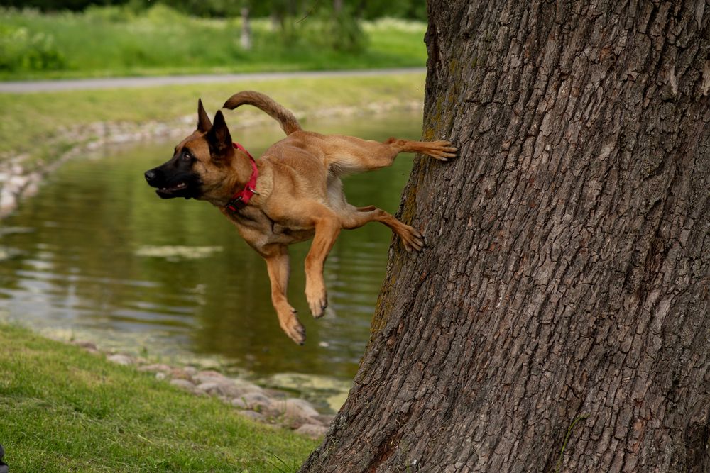 Photograph by Роза Нургалина