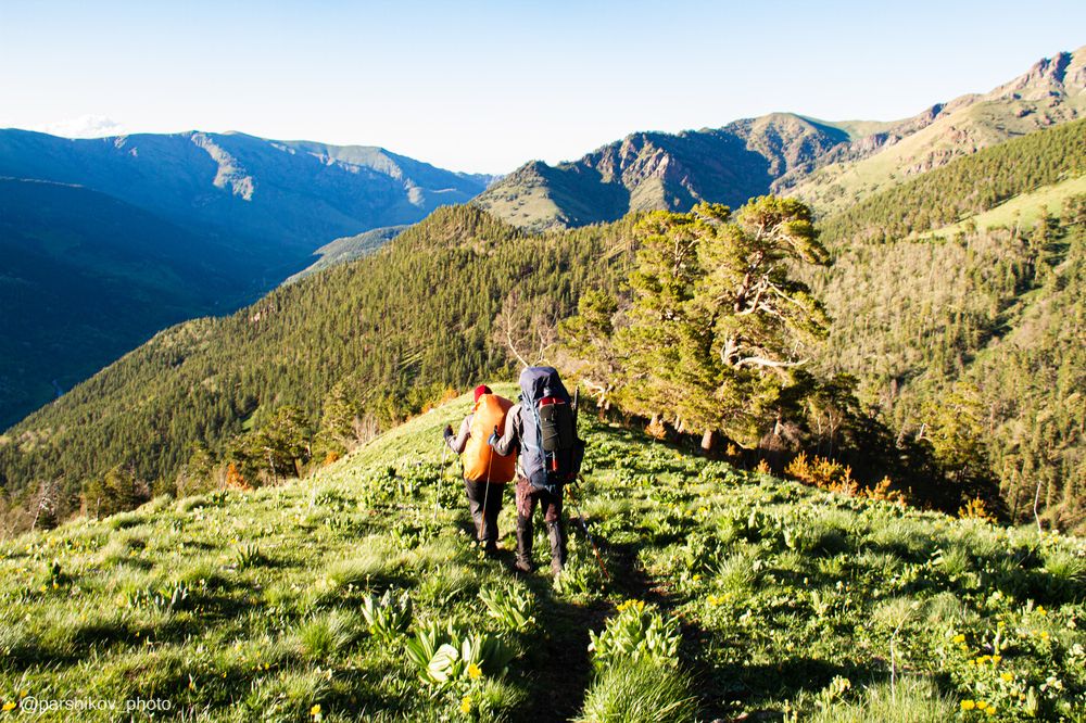 Photograph by сергей паршиков