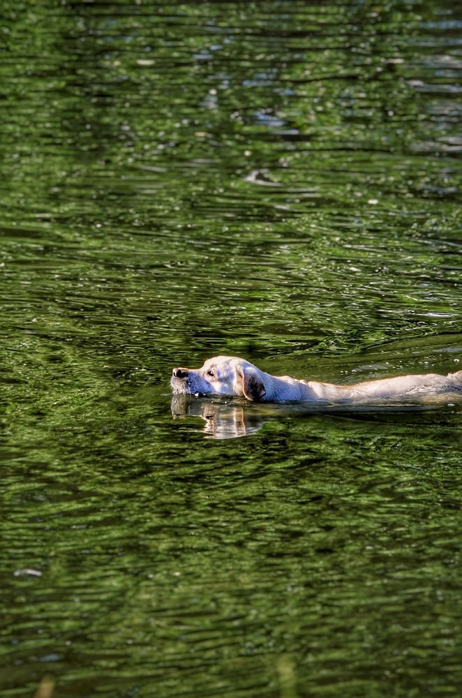 Photograph by Алена Самошина