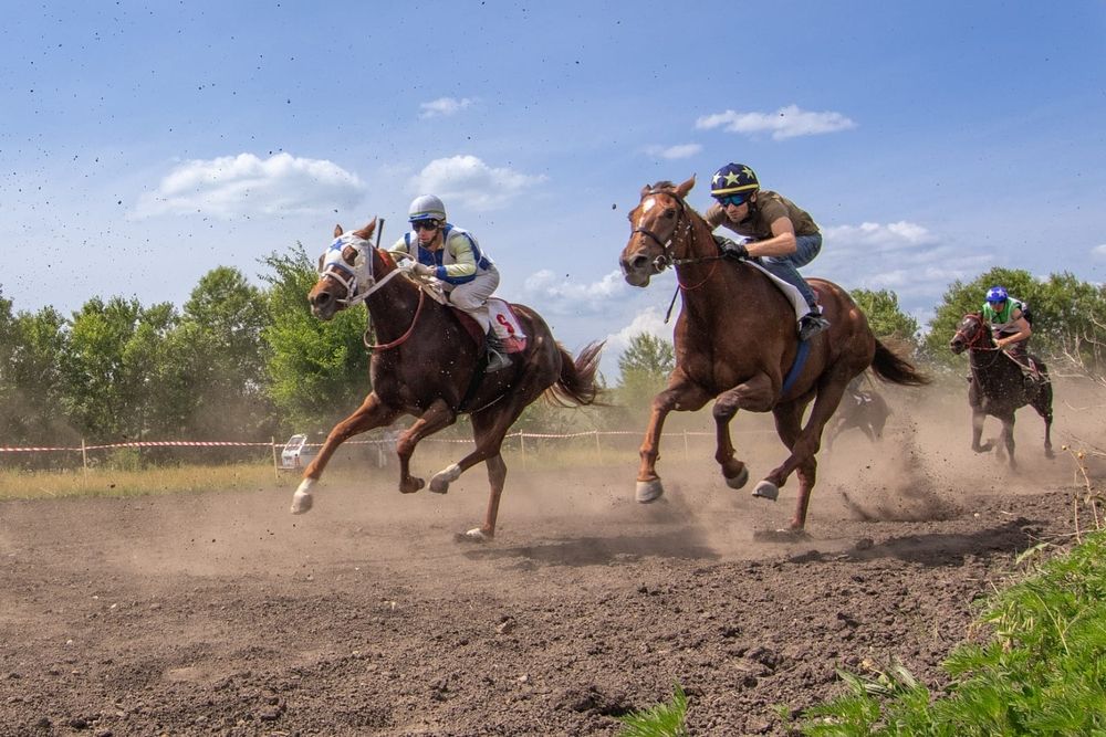 Photograph by Арсен Алабердов